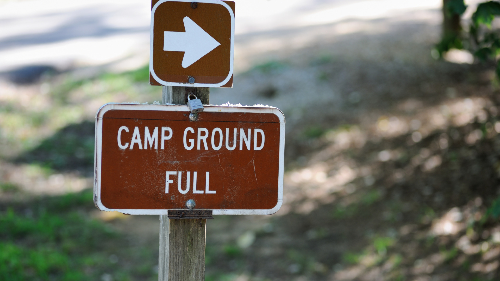 Expert Booking Tips to Help Snag Busy Campgrounds