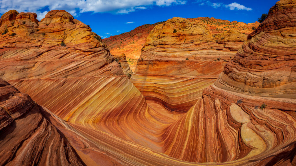 View of the wave in Arizona
