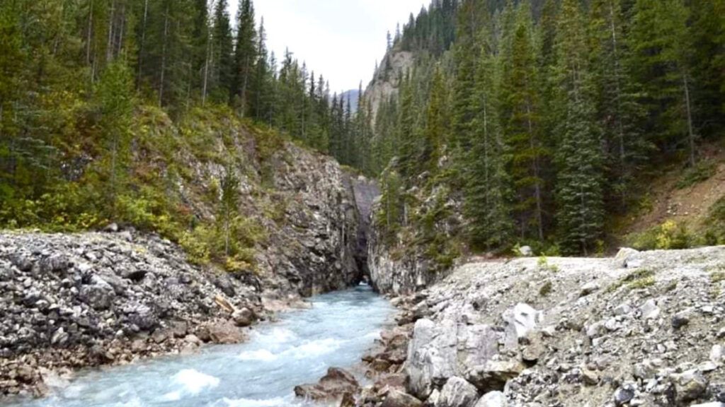 View of a river in Jasper National Park