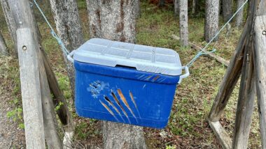 An image of how to store food properly out in the woods near bears