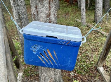 An image of how to store food properly out in the woods near bears
