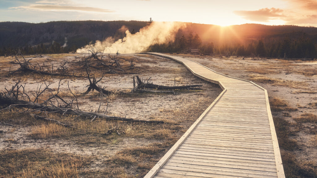 View of a boardwalk leading to a Yellowstone hot spring