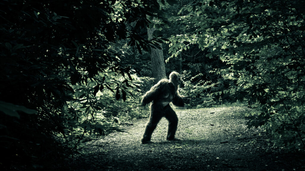 Skunk Ape in the woods