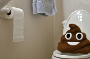 Poop emoji pillow sitting on toilet