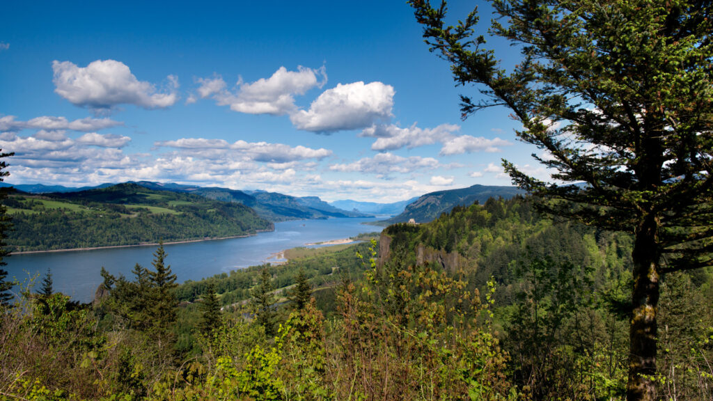 View of the Columbia river
