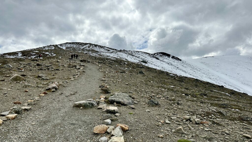 View of the Summit Trail hike near the Jasper Skytram