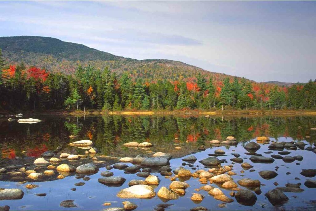 Autumn leaves beginning to turn bright orange over the landscape in New Hampshire.