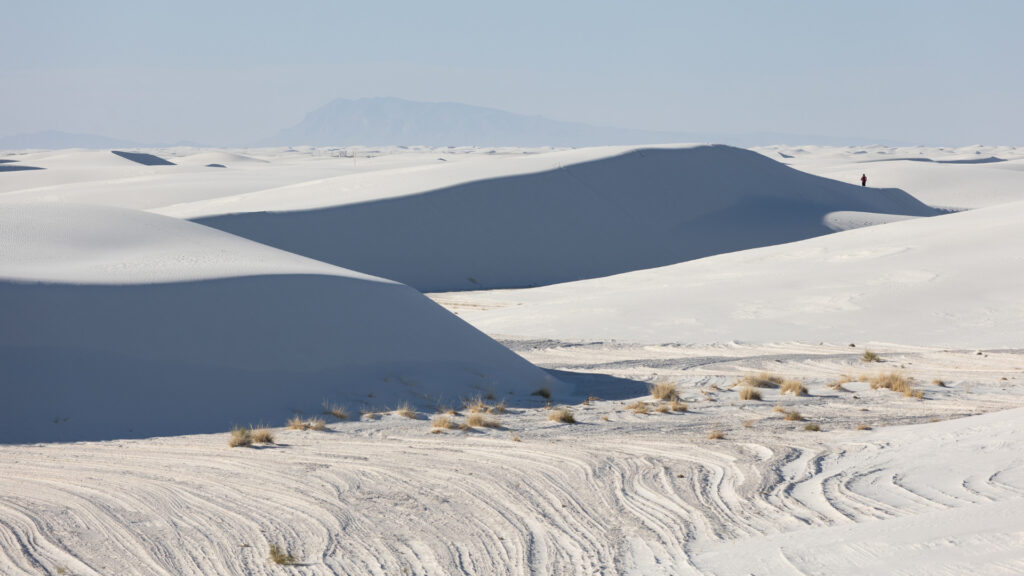 View of white sands national park