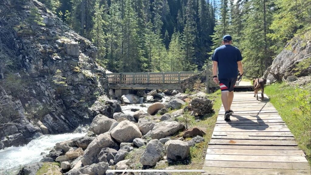 A man walking his dog on Source of the Springs Trail at Miette Hot Springs
