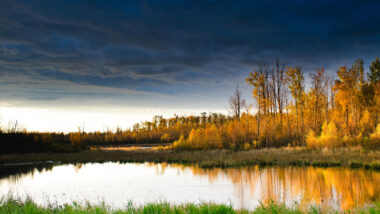 Elk Island National Park during the fall