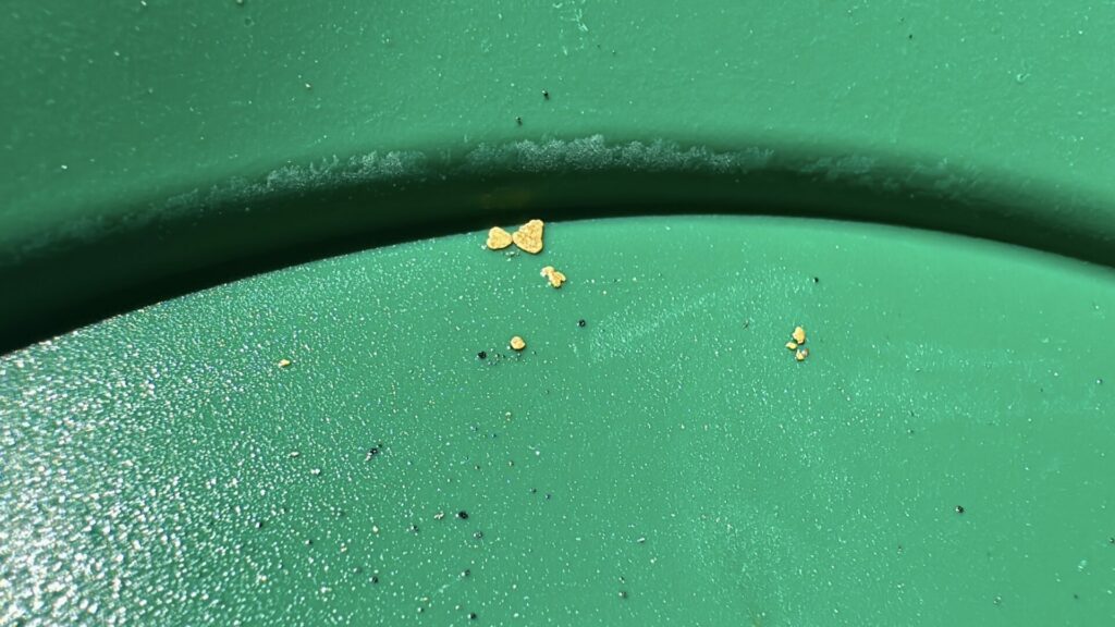 Close up of gold particles found while gold panning in Alaska.
