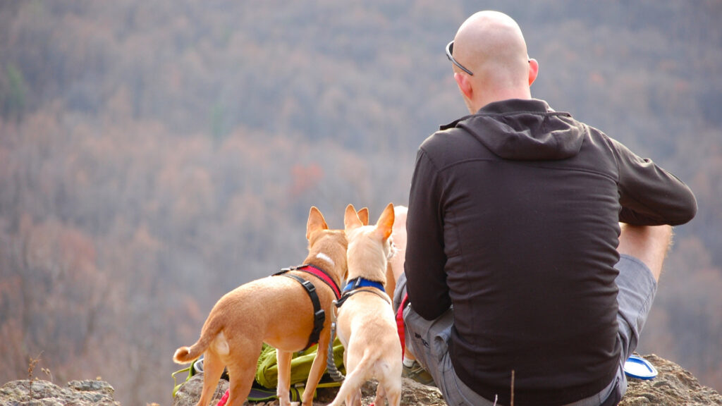 A man sitting in a national park with his two dogs.