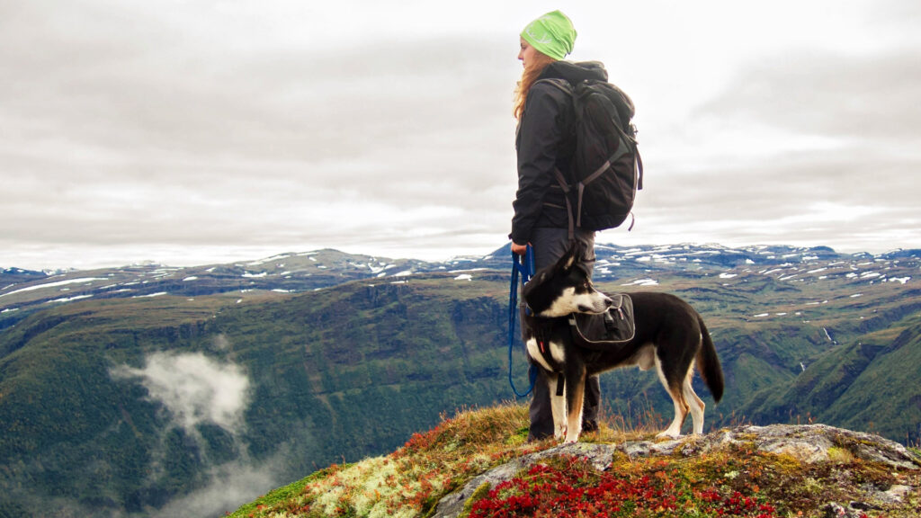 A woman on top of a mountain with her dog in a national park.