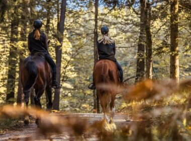 Two woman on a horseback ride along a path through a forest on a sunny day.