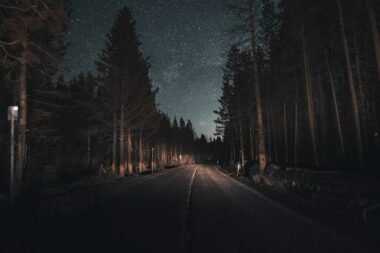 A night drive through an empty road that winds through the forest.