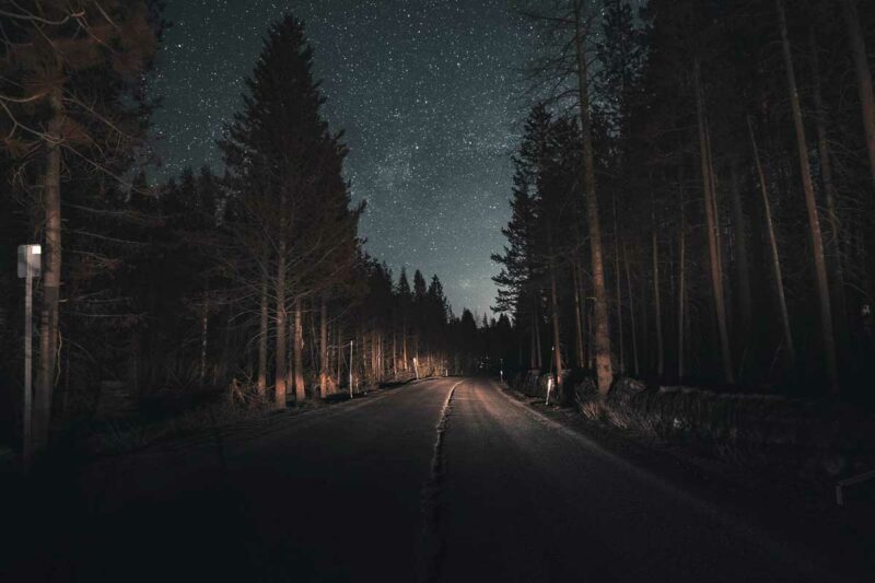 A night drive through an empty road that winds through the forest.