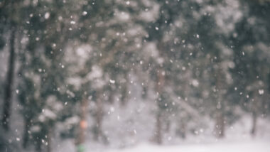 Close up of snow falling in the winter.