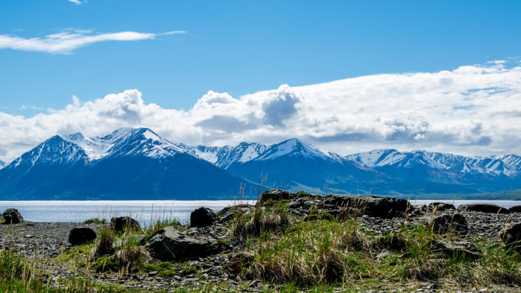 View of Turnagain Arm.