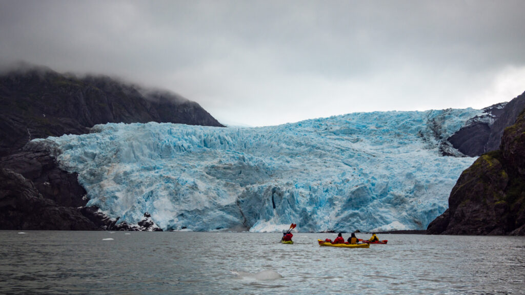 A group of tourists sea kayaking in glacier bay national park.
