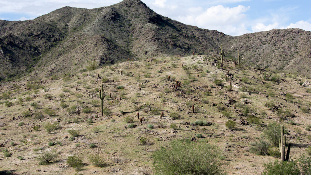 View of South Mountain Park in Phoenix, Arizona, one of the largest city parks