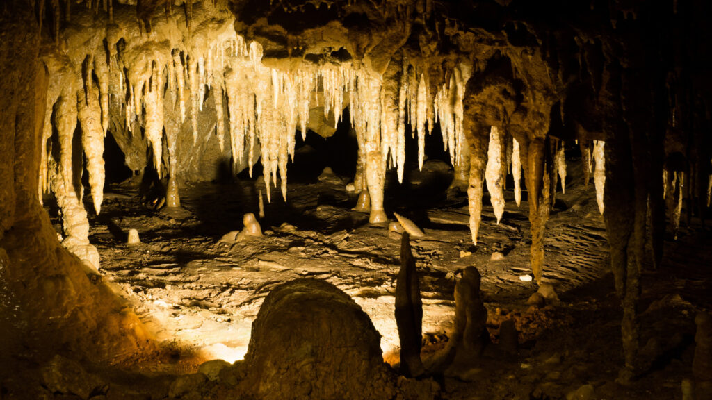 Inside view of a cave in Florida Caverns State Park.