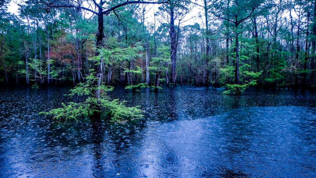 View of Morrison Springs Park, a spot in Florida where you can find caves.