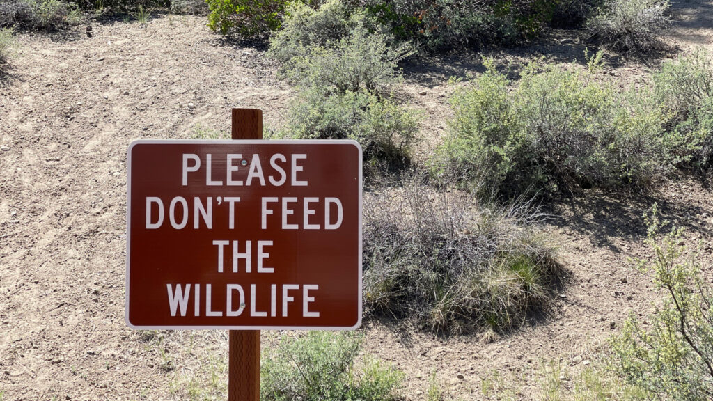 A sign in a national park stating to not feed the wildlife.