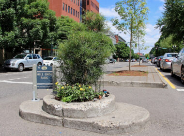 View of the world's smallest park.