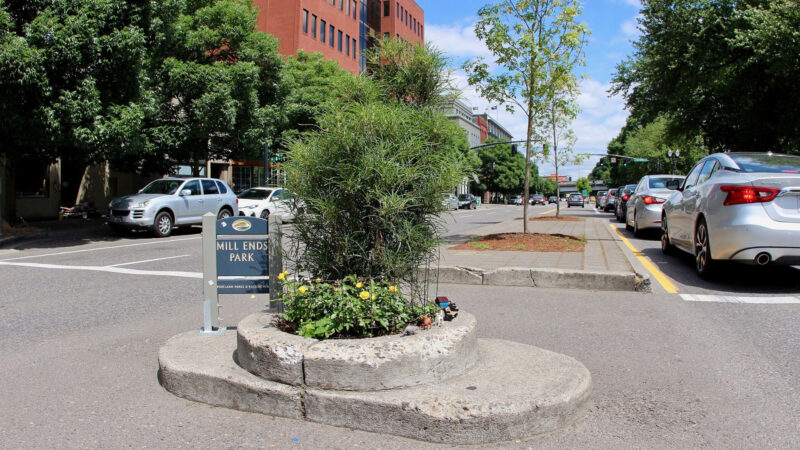 View of the world's smallest park.