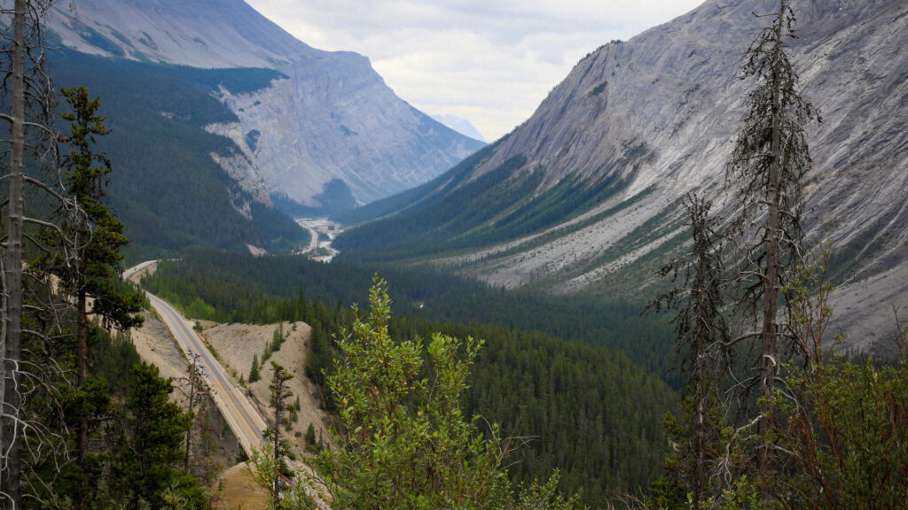 View of Icefields Parkway in Canada.