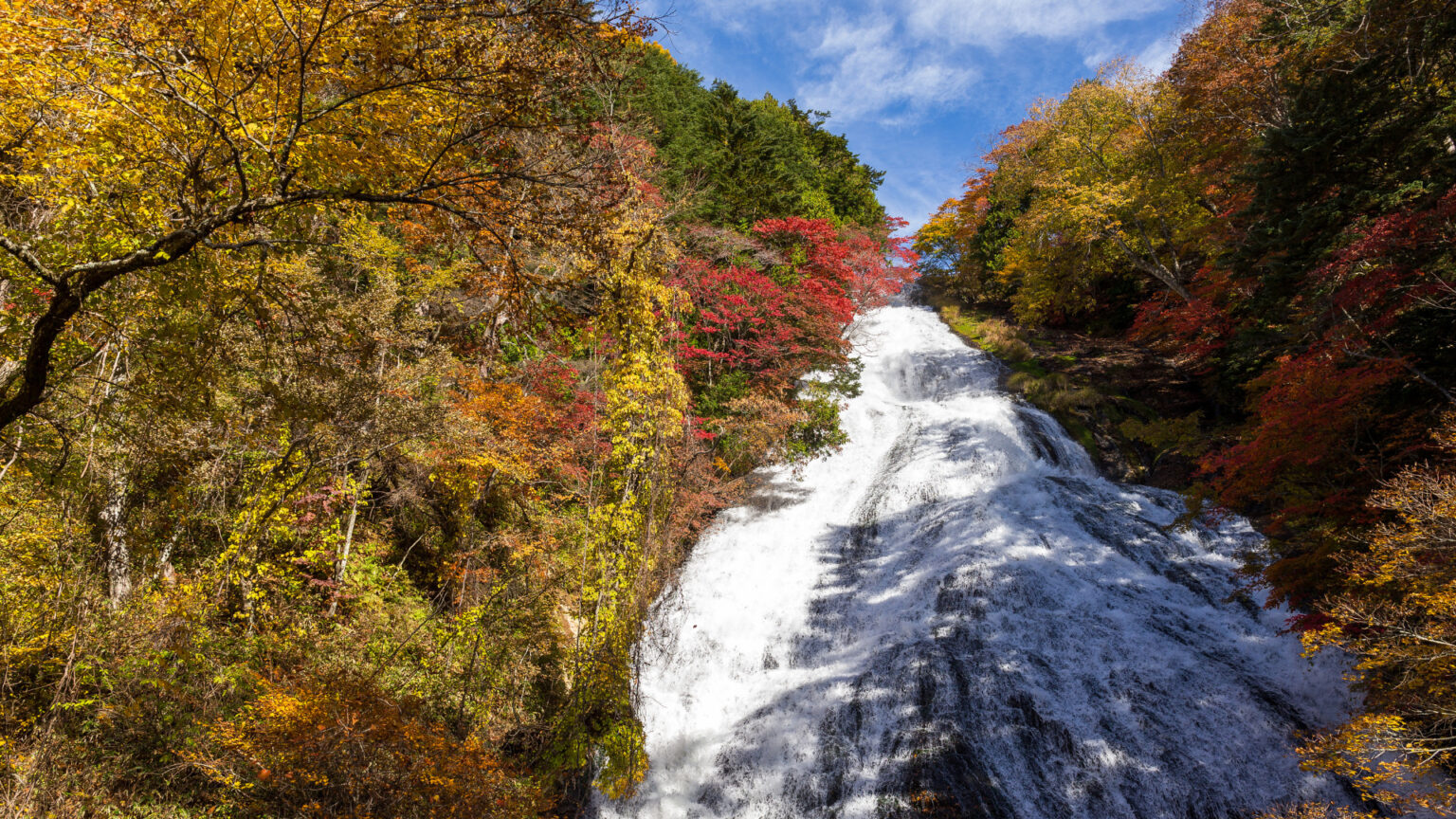 Leaf Tracker Apps for the Best Fall Foliage - Getaway Couple