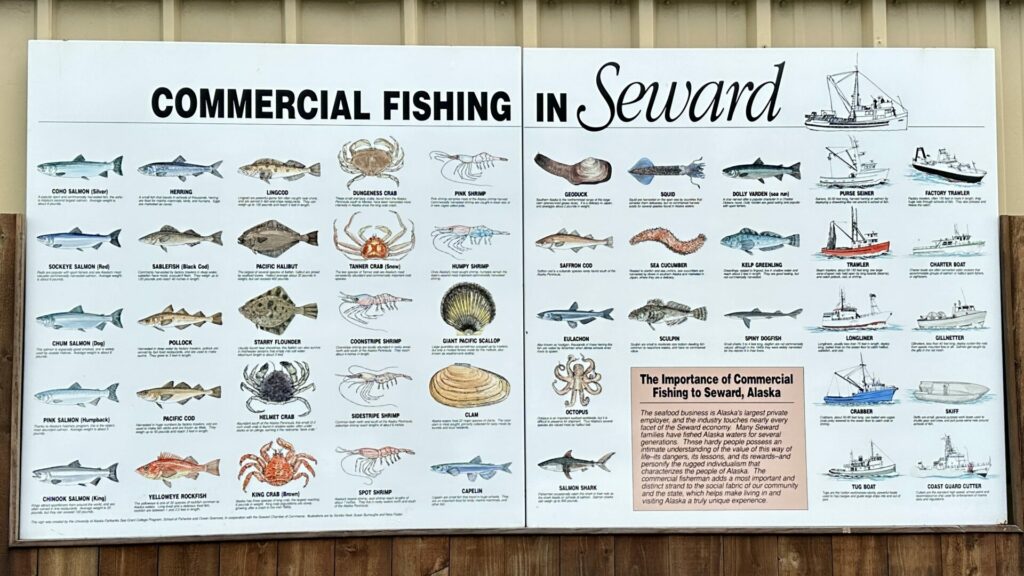 A sign in Alaska that says "Commercial Fishing in Seward" and shows the many different types of fish and shellfish you can catch. 