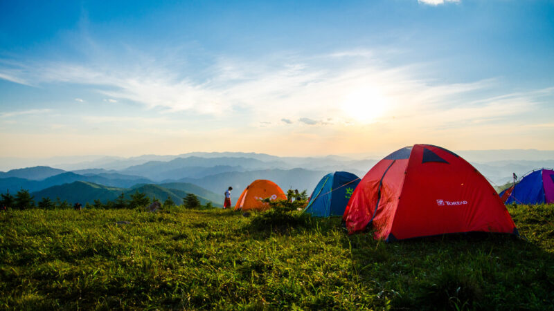 Tents gathered together during a group camping trip.
