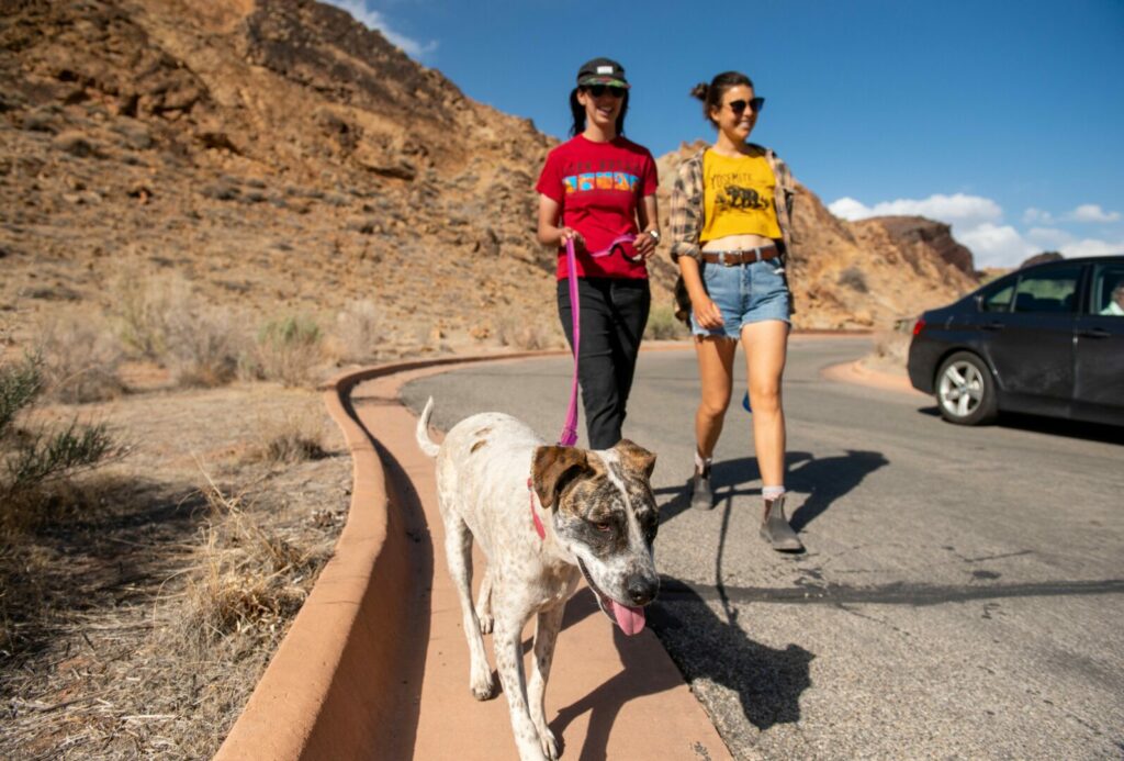 Two girls walking a dog in the parking lot in Arches National Park