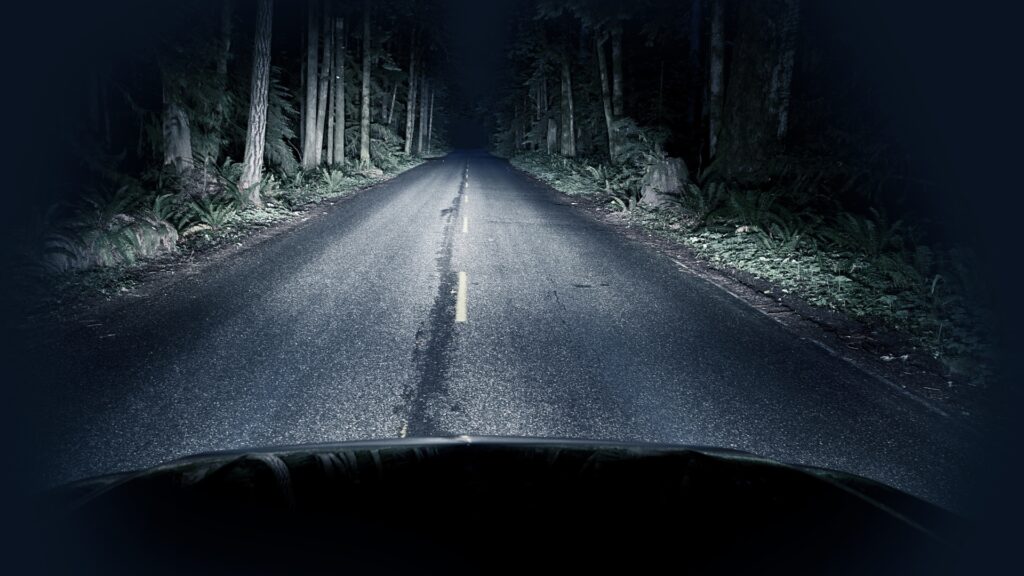 A car driving at night with the headlights lighting up the road and tall trees. It's a spooky sight.