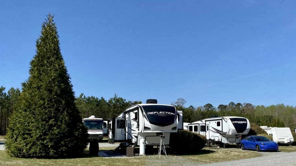 A fifth wheel parked in a campsite with a large tree next to it.