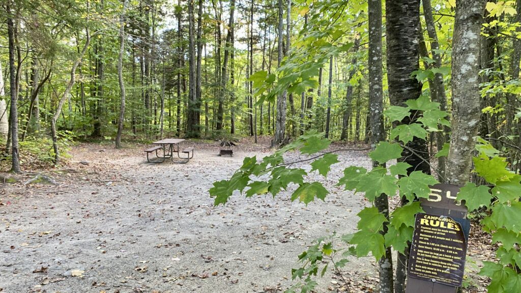 An empty campsite surrounded by trees and a picnic table. 