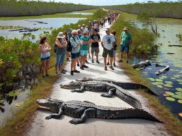 AI image of Alligators laying on a walking trail backing up people