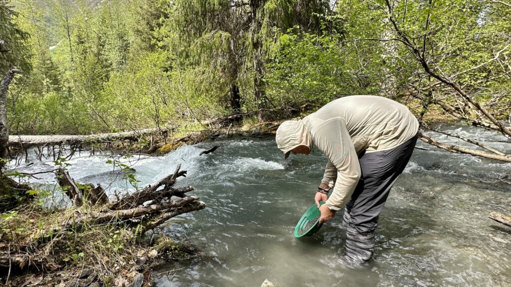 Jason bending over gold panning in a river.