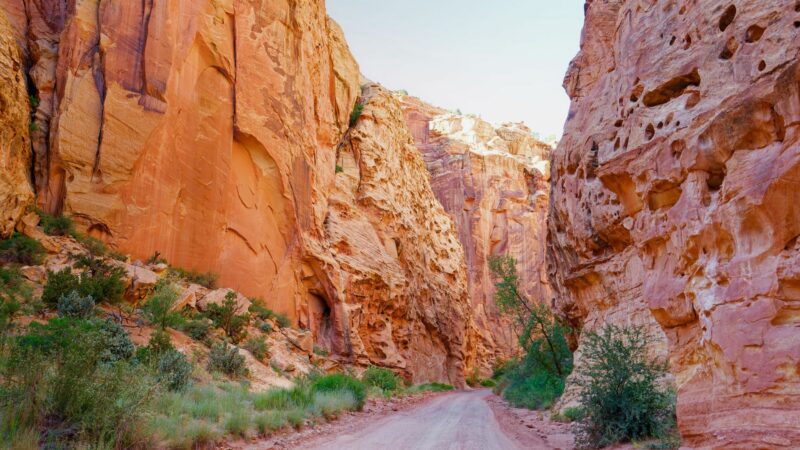 view up canyon in capitol reef national park