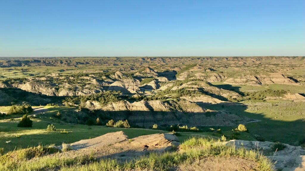 A wide shot of Theodore Roosevelt National Park in the springs showing everything covered in green.