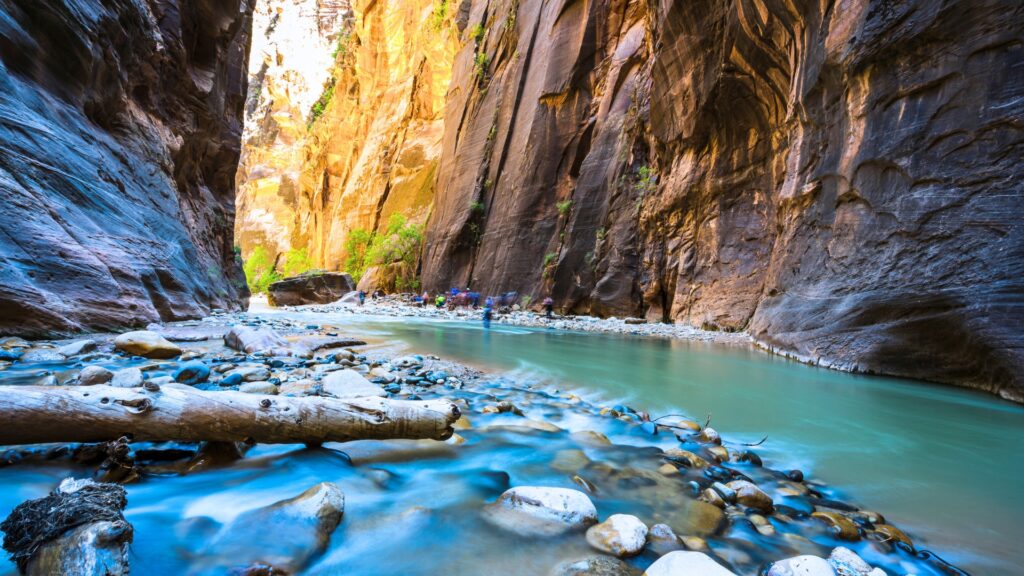 A hike in Zion National Park called The Narrows. IT has water through the canyon with steep walls to hike through.