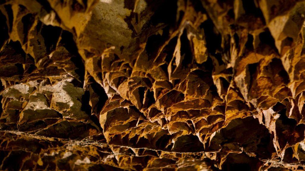 Boxwork formations on the ceiling inside a cave.