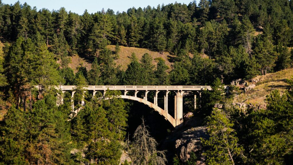 A bridge in the mountains at wind cave national park.