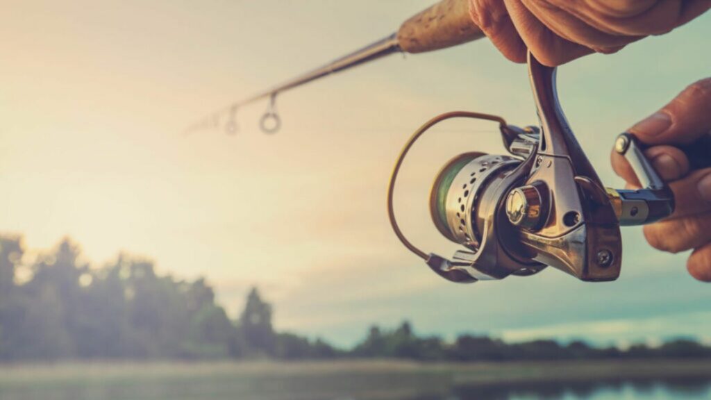 Fishing in New River Gorge National Park