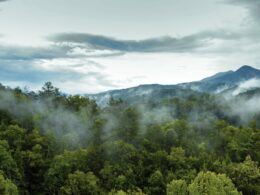 Smoky Mountain range with forest in the foreground.
