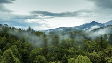 Smoky Mountain range with forest in the foreground.