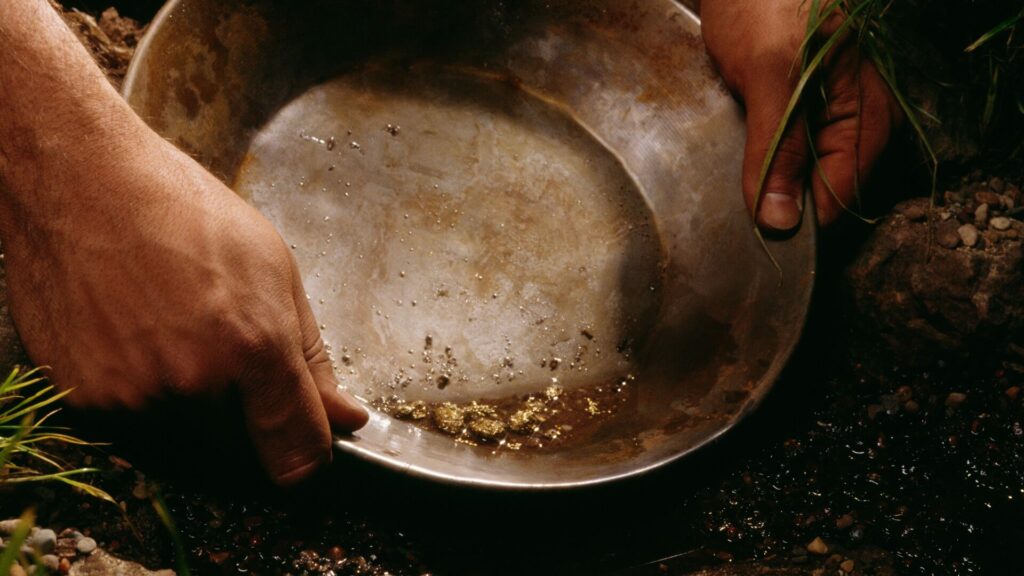 Person holding a gold pan with gold inside towards the edge of a river bank. 