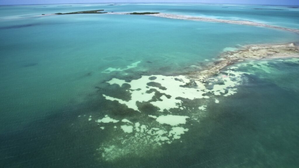 An aerial view of the Everglades National Park. 