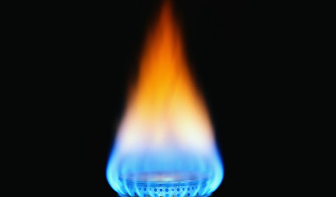 Natural gas aflame with black background.